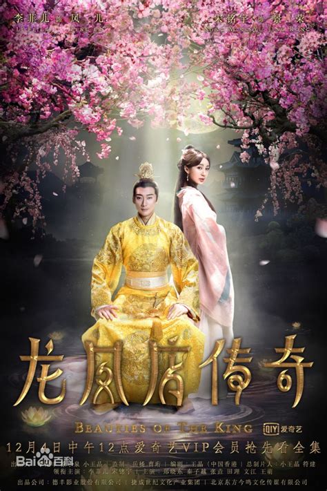Beauties of the King 龙凤店传奇 (2017) – Ninenovel