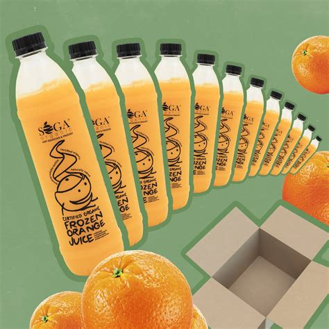 Soga Frozen Organic Orange Juice 500ml - HAP