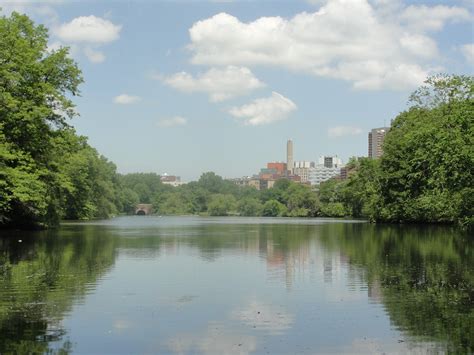 Muddy River Restoration Project Begins in Fenway | Fenway, MA Patch