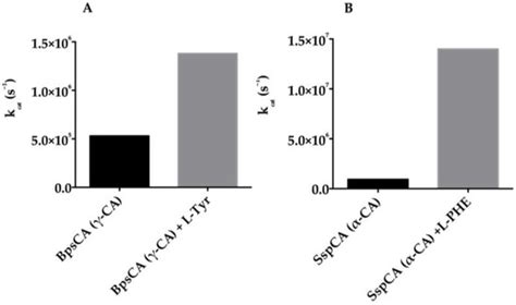 An Overview of the Bacterial Carbonic Anhydrases