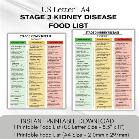STAGE 3 Kidney Disease Food List | Renal Diet Printable | Kidney Friendly Foods | Low Potassium ...