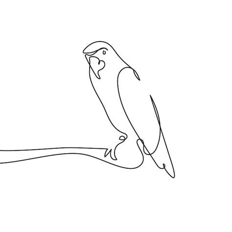 Image result for Parrot Simple Line Drawing Front Veiw