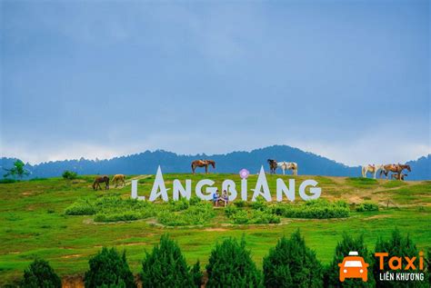 Image result for Steroke Localization Algorithm