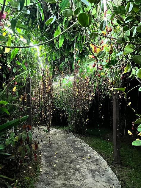 MONTANAS DEL PACUARE LODGE (Tres Equis) - Hostel Reviews, Photos, Rate ...