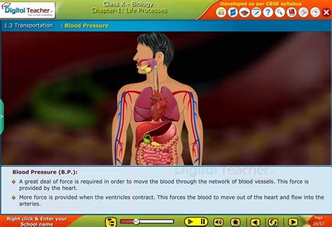 Digital Teacher Smart Class and English Language Lab Software Screenshots