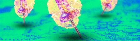 Business Location Promo 的图像结果