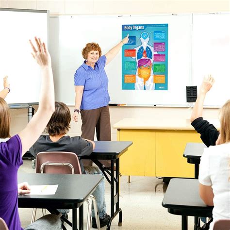 Daydream Education Body Organs Science Classroom India | Ubuy