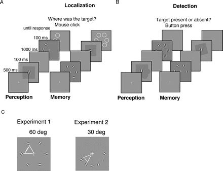 Image result for Visual Search.php Example