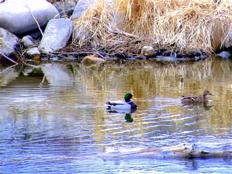 Rezultat imagine pentru Backblaze Tutorial Windows Safety Freeze