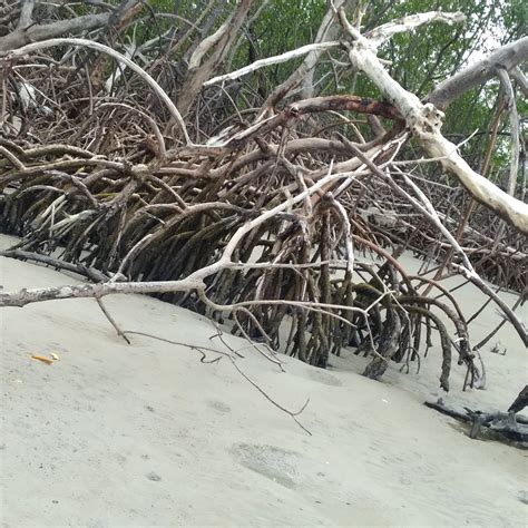 PRAIA DO AJIRU OU PRAIA DO PARAISO (2024) All You Need to Know BEFORE ...