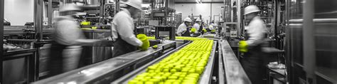 Food Manufacturing Industry Image 的图像结果