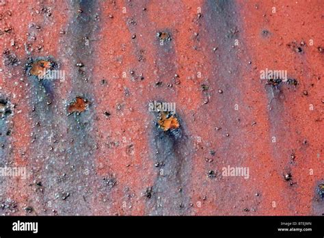 Image result for Rust On-Metal