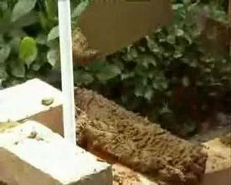 Image result for How to Lay Bricks