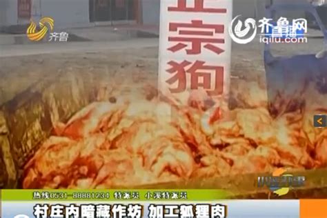 临沂：村庄内暗藏小作坊 日加工死狐狸肉上百吨[1]- 中国在线