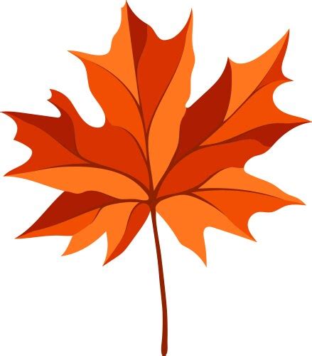 Image result for Vector File of Maple Leaf