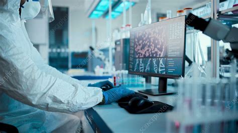 Scientist Using Computer 的图像结果