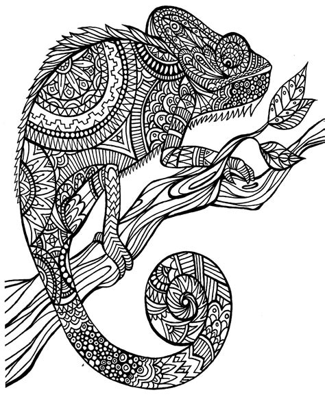 Gear Up to Bouncing Chameleon Colouring Page Receiving Lessen Your ...