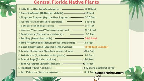 What Are Some Native Florida Plants