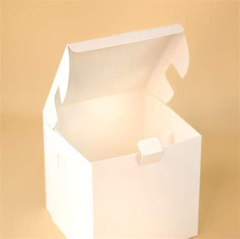 WHITE TALL CAKE BOX – The Cake Case Company