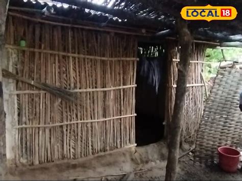 Snake Bite: నెలసరి వచ్చిందని ఒంటరిగా వదిలేశారు... ఆ ఆచారమే అమ్మాయి ...