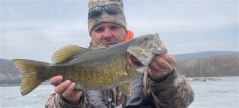 SWFA Baits - Plastic Baits, Tubes | Shop & Get Free Shipping