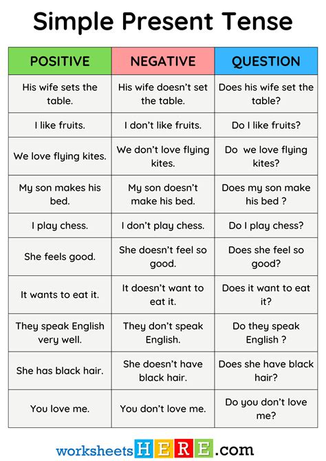 Negative Question Forms 的图像结果