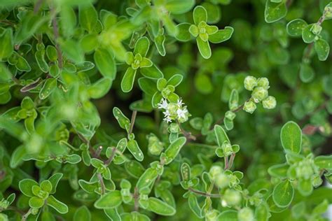 Image result for Java Spring Framework
