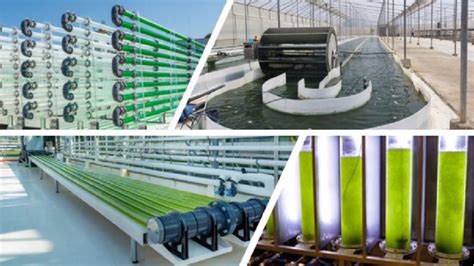 3 Microalgae cultivation systems | Download Scientific Diagram