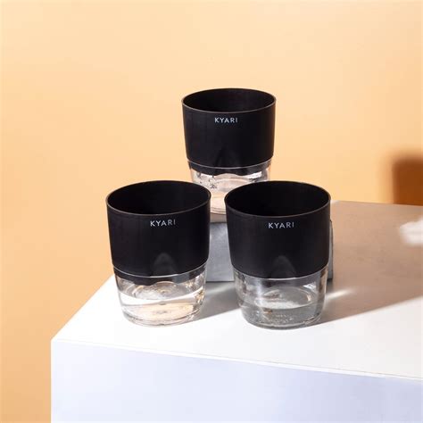 Combo of 2 Handy Self-Watering Pots, Durable Plastic Pots, Indoor ...