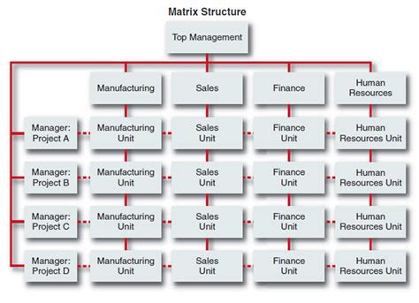 Nike Matrix Structure 的图像结果