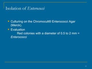 Image result for Enterococcus Chlorination