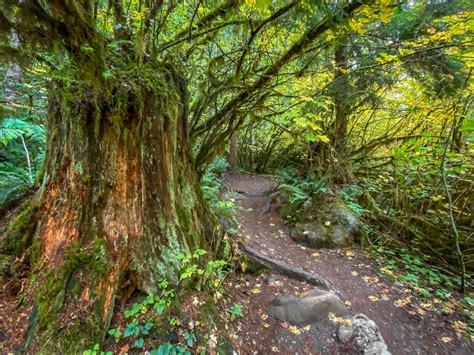 Hiking Cherry Creek Falls in Washington