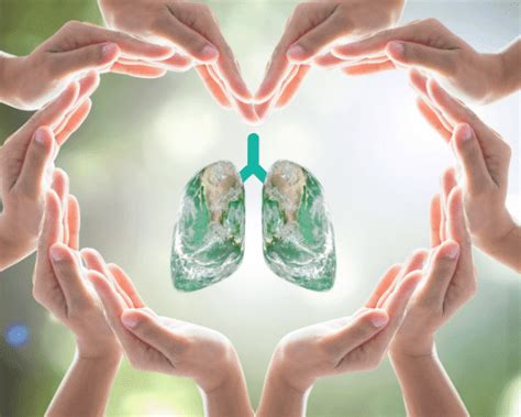 Respiratory System, Lungs and Pulmonology | Sprint Medical