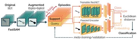 Few-Shot Conditional Learning: Automatic and Reliable Device ...