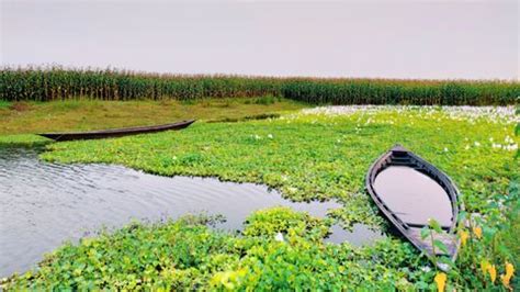 These Cities In Assam Are Now Connected Via Helicopter Services!