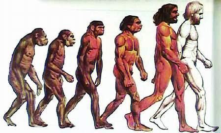 人类的进化过程（图）_百度知道