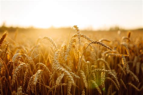 Funeral Home in Waynesboro, MS | Freeman Funeral Home
