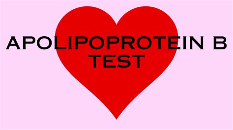 Apolipoprotein B Test (ApoB)
