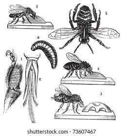 Image result for Digital Matrix Code