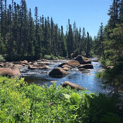 THE BEST Places to Visit in Main Brook (2026) - Must-See Attractions