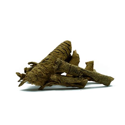 Symplocos recemosa (Lodhra) Bark| Cultivators Natural