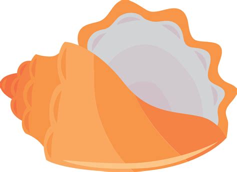 Free Shells, Download Free Shells png images, Free ClipArts on Clipart ...