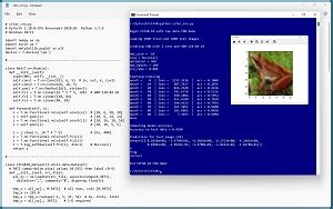 Image result for Pytorch Image Classification