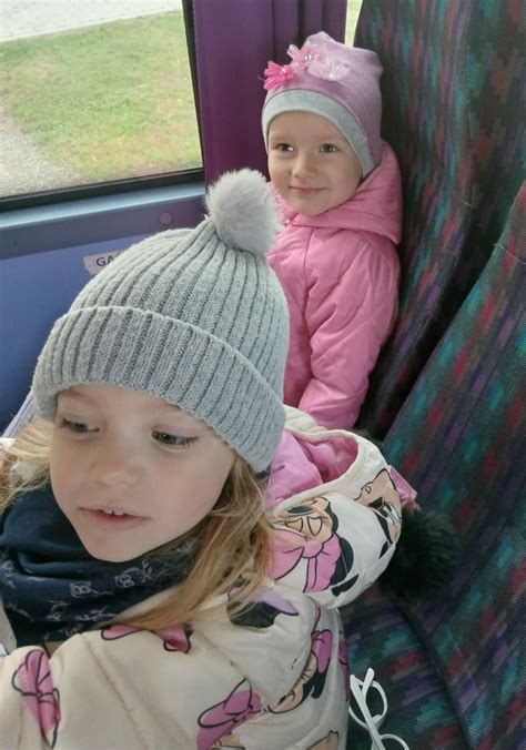 Publiczna Szkoła Podstawowa w Modliborzycach