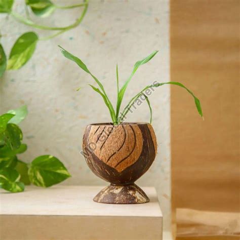 Coconut Shell Handicrafts Manufacturer Exporter Supplier from ...