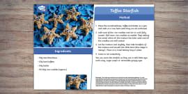 What is a Starfish? | Starfish Facts - Twinkl