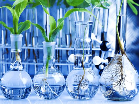 Plant Biotechnology 的图像结果