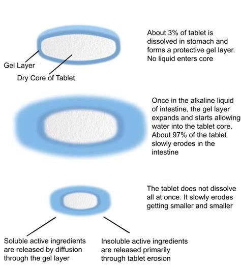 What Is Extended Release 的图像结果