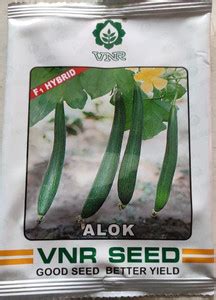 VNR Sponge Gourd, Alok - 50 gm Seed Price in India - Buy VNR Sponge ...