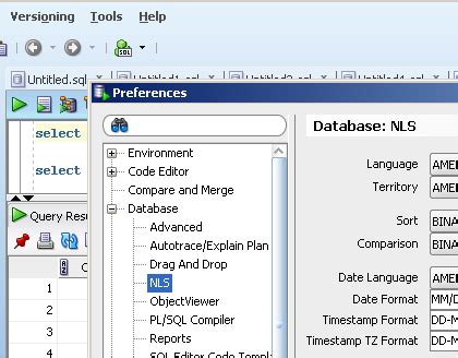 Image result for Oracle SQL Developer Date Format